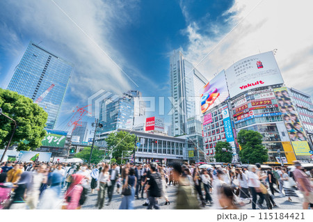 「東京都」渋谷スクランブル交差点の風景 渋谷区 「東京都」渋谷スクランブル交差点の風景 渋谷区 115184421