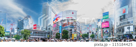 「東京都」渋谷スクランブル交差点の風景　パノラマ 115184425