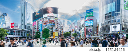 「東京都」渋谷スクランブル交差点の風景 パノラマ 「東京都」渋谷スクランブル交差点の風景 パノラマ 115184426