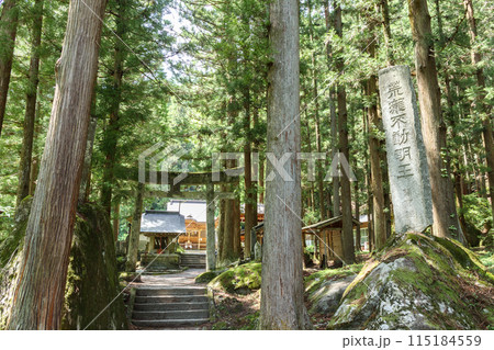 「山梨県」木々に囲まれた竹宇駒ヶ岳神社 115184559