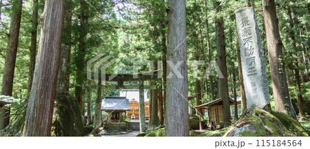 「山梨県」木々に囲まれた竹宇駒ヶ岳神社 「山梨県」木々に囲まれた竹宇駒ヶ岳神社 115184564