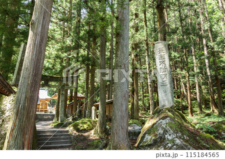 「山梨県」木々に囲まれた竹宇駒ヶ岳神社 「山梨県」木々に囲まれた竹宇駒ヶ岳神社 115184565