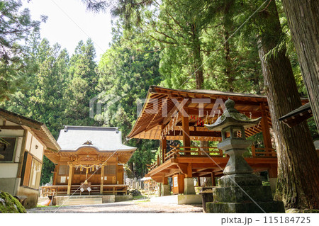 「山梨県」木々に囲まれた竹宇駒ヶ岳神社 115184725