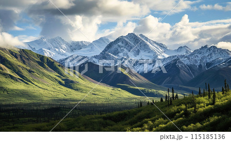 Snowy mountains of Alaska, landscape with forests, valleys, and rivers in daytime. Breathtaking nature composition background wallpaper, travel destination, adventure outdoors 115185136