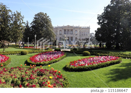 花のドルマバフチェ宮殿　世界遺産　イスタンブール　トルコ 115186647