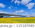菜の花畑としまかぜ 115187080