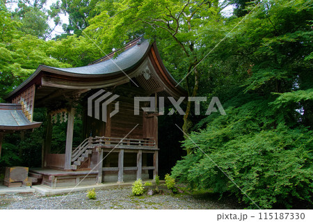 天照大神の祀る摂社 【多賀大社】 天照大神の祀る摂社 【多賀大社】 115187330