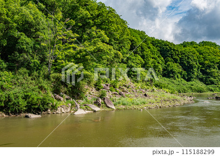 京都南部の渓流木津川 京都府南山城村 京都南部の渓流木津川 京都府南山城村 115188299