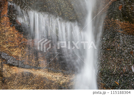 木津川に注ぐ小さな滝　京都府南山城村 115188304