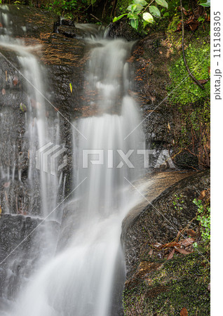 木津川に注ぐ小さな滝　京都府南山城村 115188305