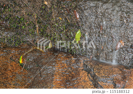 木津川に注ぐ小さな滝　京都府南山城村 115188312