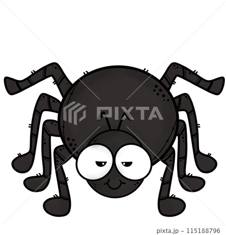 spider 115188796