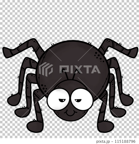 spider 115188796