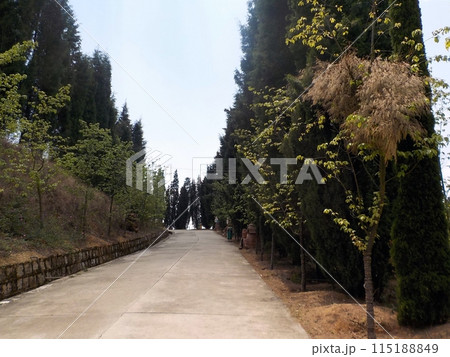 中国は雲南省澄江の世界遺産での小道 115188849