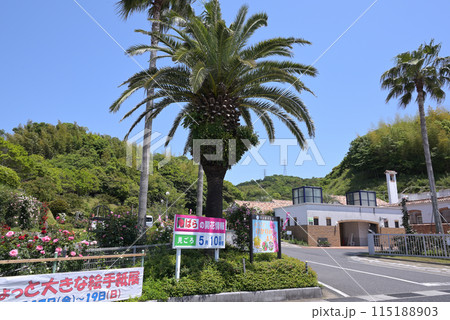ばら祭の「冠山総合公園」入口(山口県光市) ばら祭の「冠山総合公園」入口(山口県光市) 115188903
