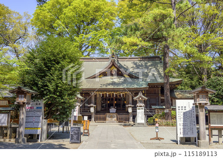 緑滴る神社の境内 緑滴る神社の境内 115189113