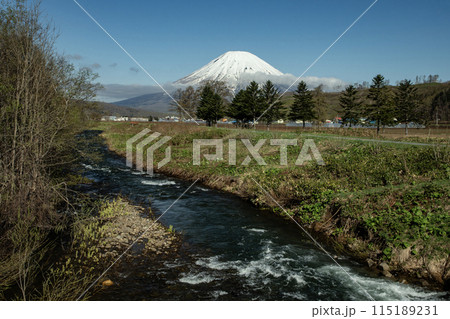 早春の羊蹄山 115189231