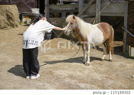 馬とふれあう女性 馬とふれあう女性 115189302