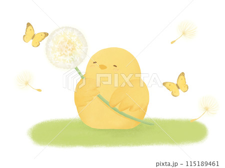 芝生の上のヒヨコと綿毛と蝶 芝生の上のヒヨコと綿毛と蝶 115189461