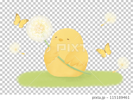 Chicks, fluff and butterflies on the grass 115189461
