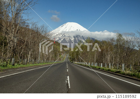 羊蹄山への道 115189592