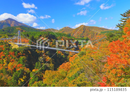 秋の九重夢大吊橋（大分県九重町） 115189835