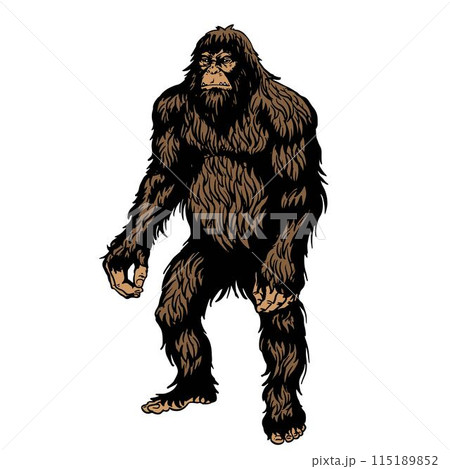 bigfoot standing bigfoot standing 115189852