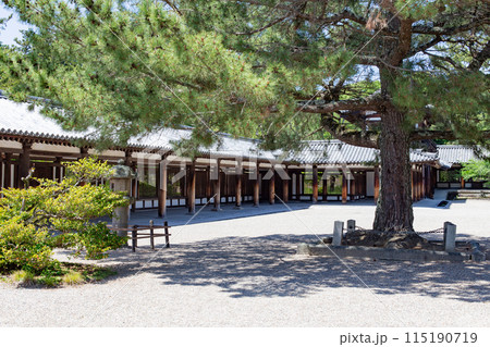 快晴の奈良、世界遺産・国宝の法隆寺の廻廊 115190719