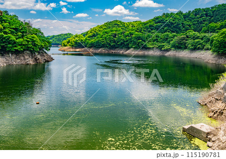 高山ダム（月ヶ瀬ダム）ダム湖　京都府南山城村 115190781