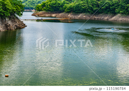 高山ダム（月ヶ瀬ダム）ダム湖　京都府南山城村 115190784