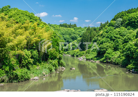 京都南部の渓流木津川　京都府南山城村 115190824
