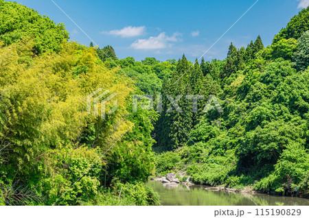 京都南部の渓流木津川　京都府南山城村 115190829