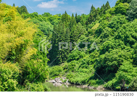 京都南部の渓流木津川　京都府南山城村 115190830