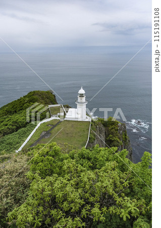 地球岬展望台から見る地球岬灯台と太平洋 115191108