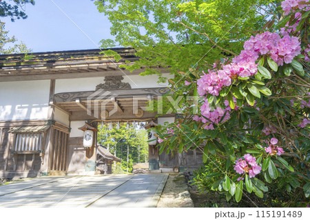 高野山 金剛峯寺 会下門としゃくなげの花 115191489