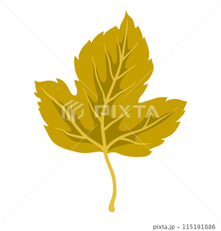 Illustration of autumn leaf. Decorative falling foliage. 115191886