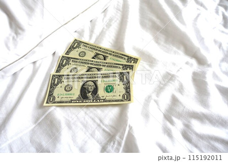 ピローチップ　ベッドメイキング　チップ　ドル 115192011