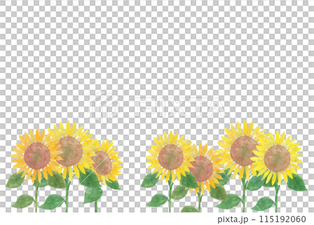 手繪水彩向日葵田和天空向量圖 手繪水彩向日葵田和天空向量圖 115192060