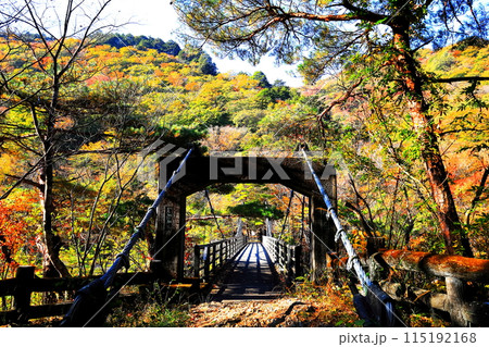 鬼怒川 龍王峡の紅葉／栃木県日光市 115192168