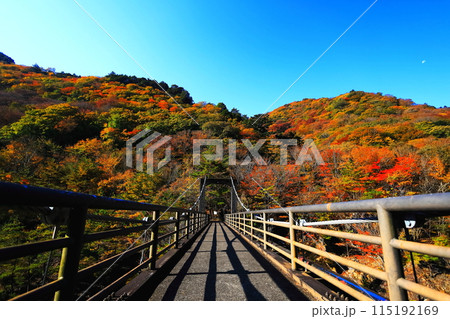 鬼怒川 龍王峡の紅葉/栃木県日光市 鬼怒川 龍王峡の紅葉/栃木県日光市 115192169