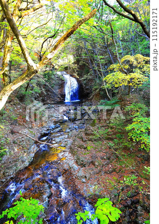鬼怒川 龍王峡の紅葉/栃木県日光市 鬼怒川 龍王峡の紅葉/栃木県日光市 115192171