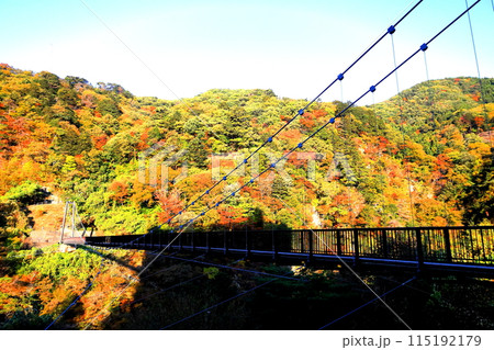 鬼怒川温泉の鬼怒楯岩大吊橋／栃木県日光市 115192179