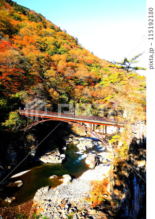 鬼怒川 龍王峡の紅葉／栃木県日光市 115192180