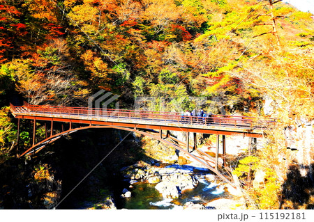 鬼怒川 龍王峡の紅葉／栃木県日光市 115192181