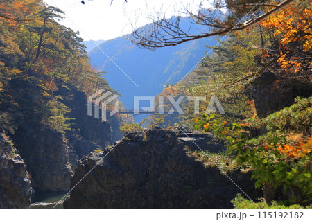 鬼怒川 龍王峡の紅葉／栃木県日光市 115192182