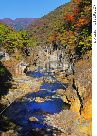 鬼怒川 龍王峡の紅葉／栃木県日光市 115192227