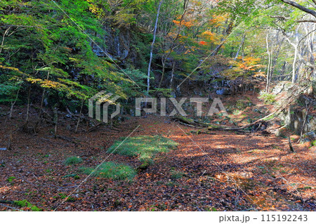 鬼怒川 龍王峡の紅葉／栃木県日光市 115192243