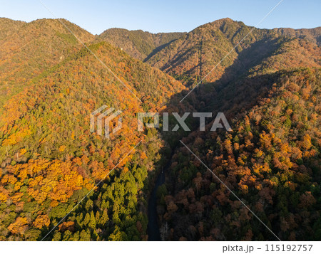 紅葉する早朝の比良山　空撮 115192757