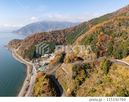 紅葉する秋の海津大崎 空撮 紅葉する秋の海津大崎 空撮 115192760