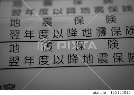 地震保険 115193036